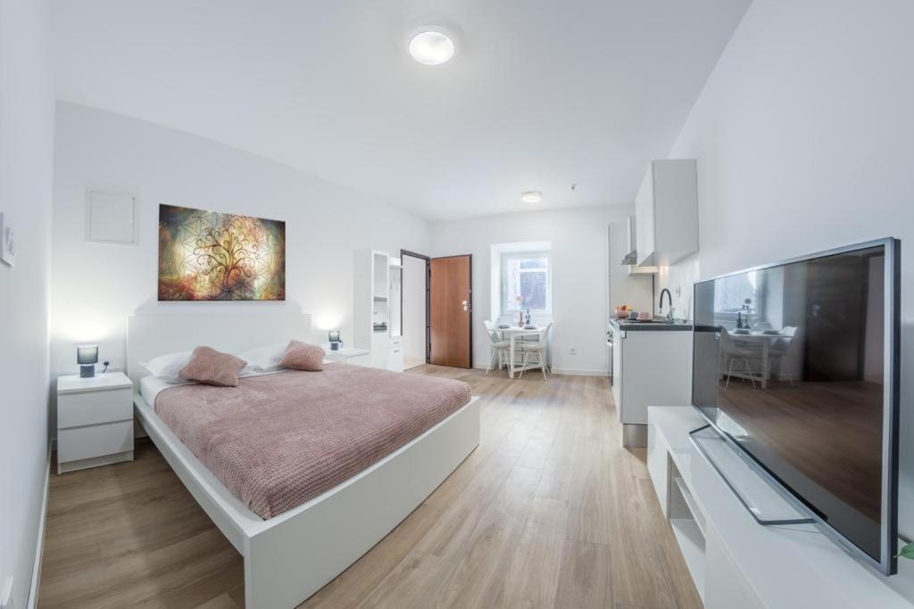 Apartment Klara Free Parking, Center Pula Exterior photo